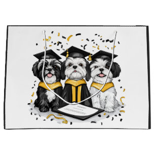 Studenten Shih Tzu Hundar