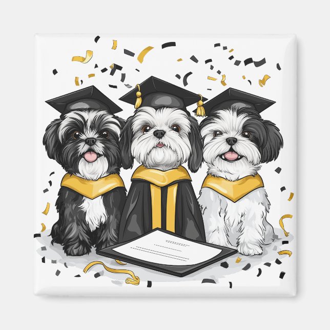 Studenten Shih Tzu Hundar Magnet (Framsidan)