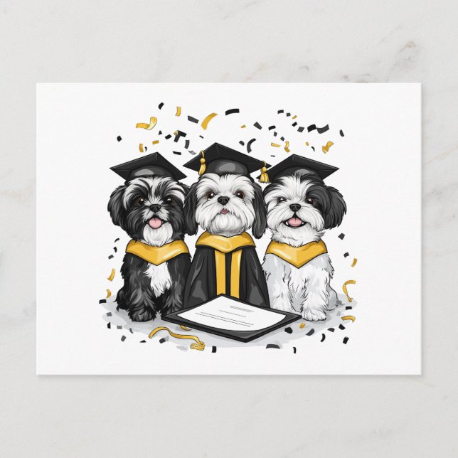 Studenten Shih Tzu Hundar Vykort (Framsida)