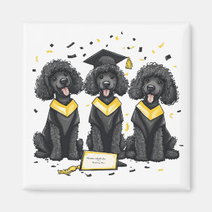 Studenten Standard Pudel Hundar Magnet