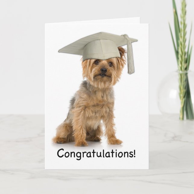 Studenten Yorkie Grattis Kort (Framsida)