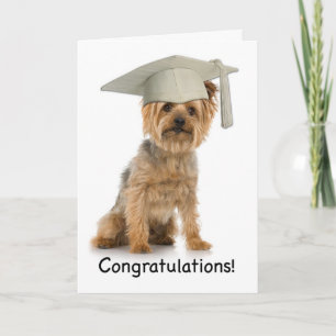 Studenten Yorkie Grattis Kort
