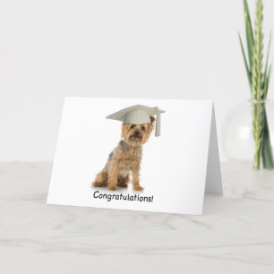 Studenten Yorkie Grattis Kort