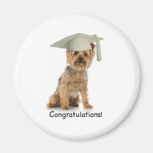 Studenten Yorkie Grattis Magnet