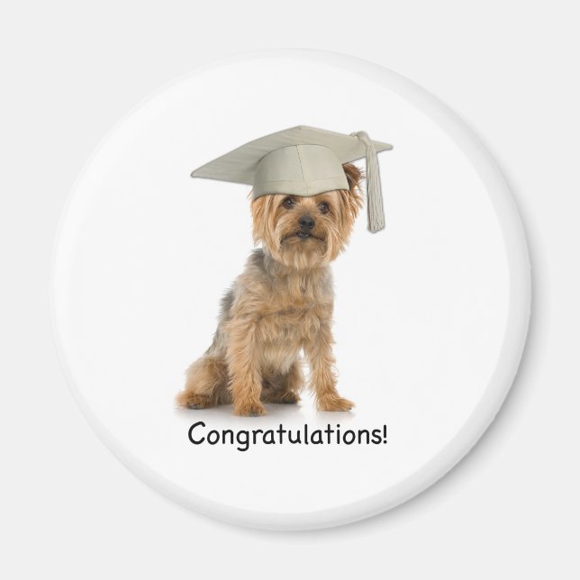 Studenten Yorkie Grattis Magnet (Framsidan)