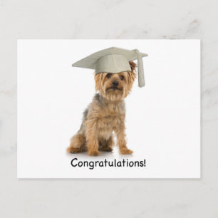 Studenten Yorkie Grattis Meddelande Vykort