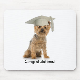 Studenten Yorkie Grattis Musmatta
