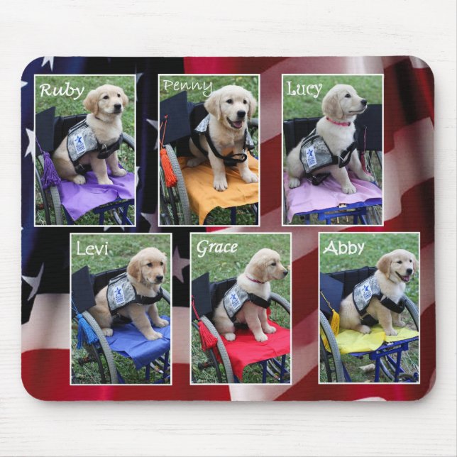 StudentenCollagemusen vadderar Musmatta (Framsidan)