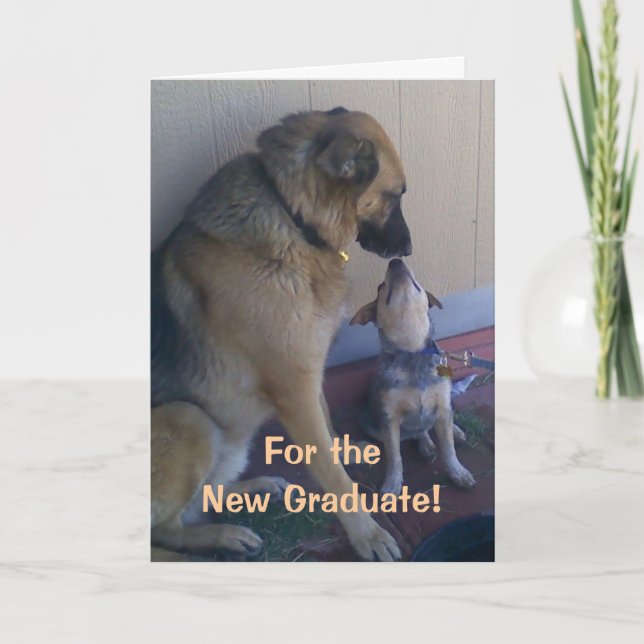 Studentengrattishundar Kort (Framsida)