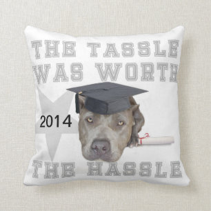 Studentenpitbullhunden Mojo kudder Kudde