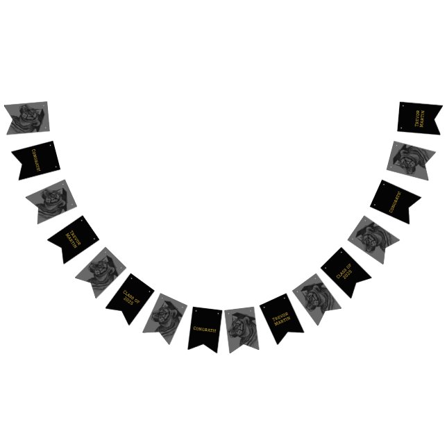 Studentfest Bunting Flaggor (Alla)