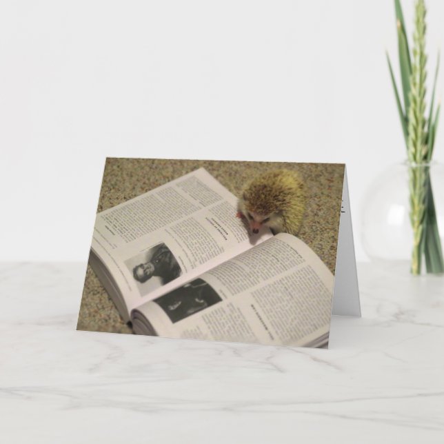 Studera igelkottstudentenkortet kort (Framsida)