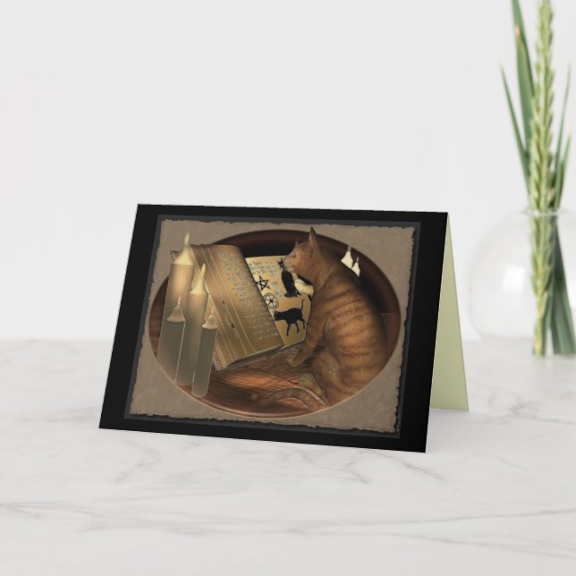 Studera kattkurser kort (Framsida)