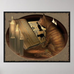 Studera kattlektioner Skriv ut Poster