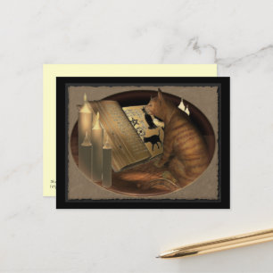 Studera kattlektioner vykort
