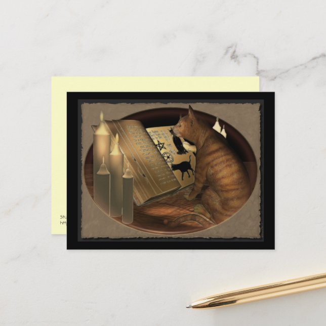 Studera kattlektioner vykort (Fram/Back In Situ)