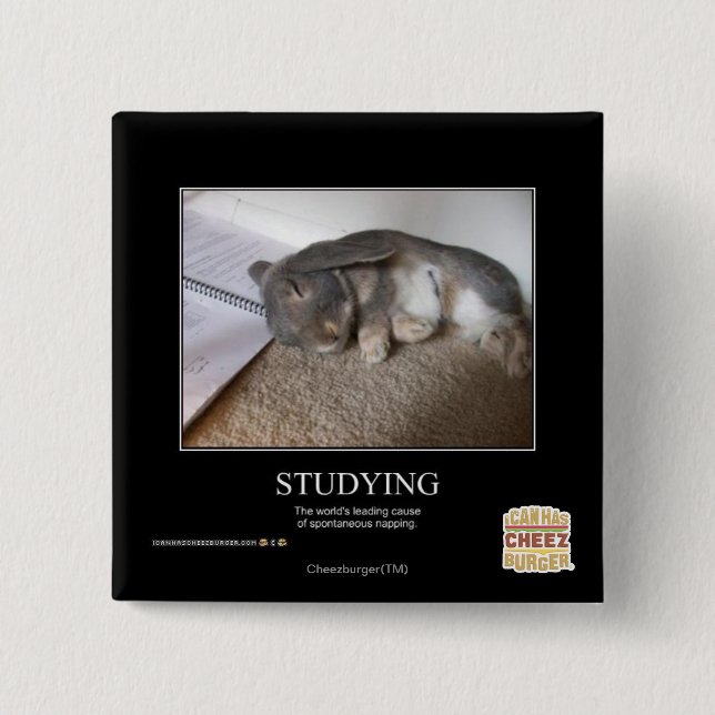 Studera Knapp (Framsida)