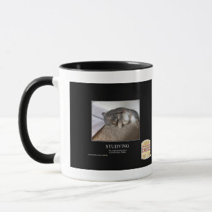Studera Mugg