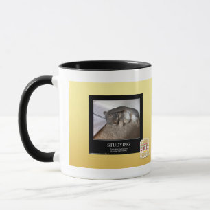 Studera Mugg