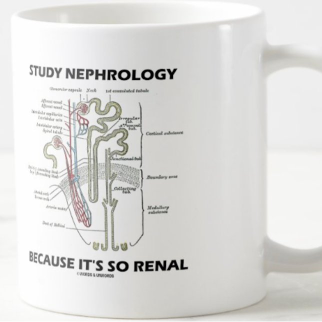 Studera nefrologi för att det är så renalt nefron kaffemugg (Nephrologists will enjoy this medical truism advice mug featuring a kidney's nephron)