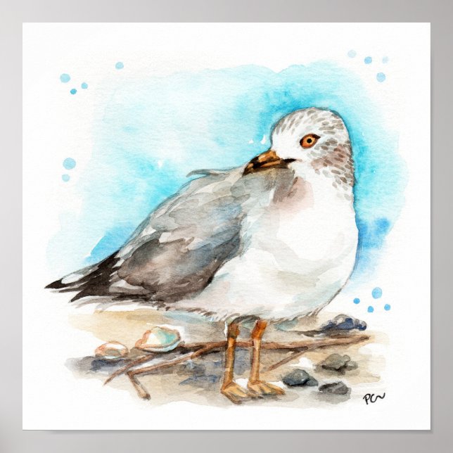 Studie 2 i fiskmås poster (Framsidan)