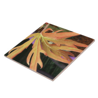 Studie 2 i löv kakelplatta