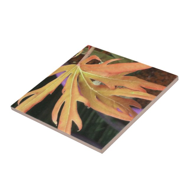 Studie 2 i löv kakelplatta (Sidan)