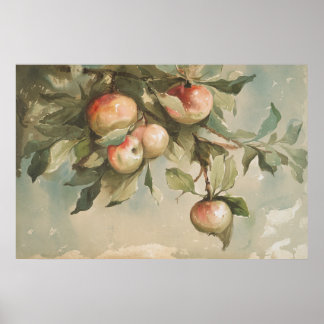 Studie av Apples Vintage Watercolor Painting Poster