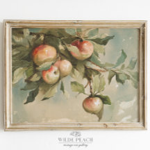 Studie av Apples Vintage Watercolor Painting