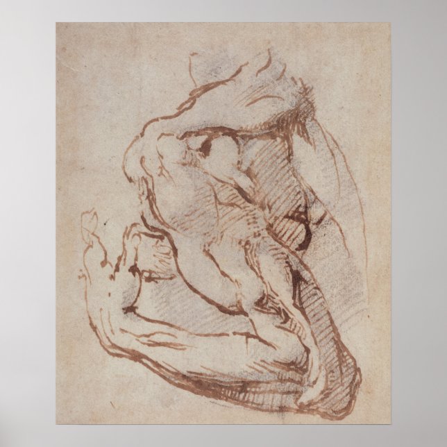 Studie av Arm Inv.1859/5/14/819 Poster (Framsidan)