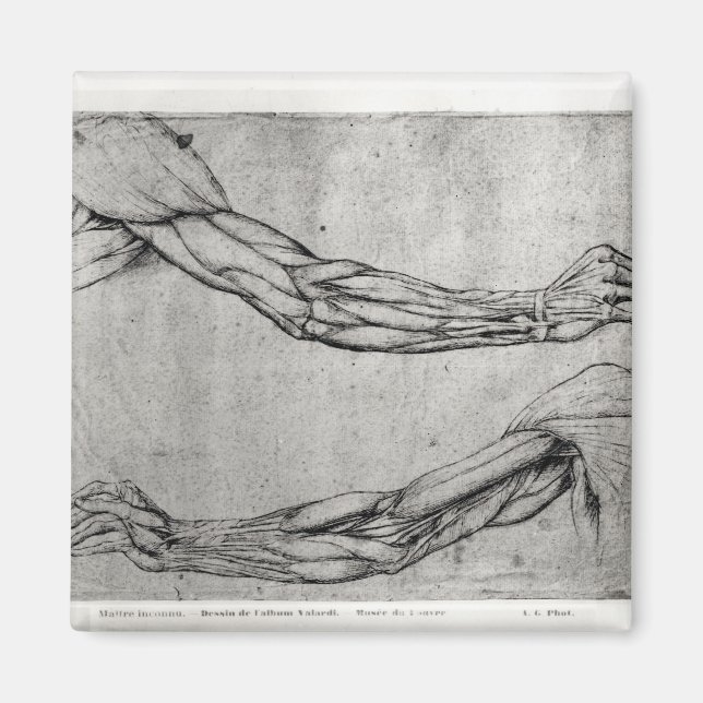 Studie av Arm Magnet (Framsidan)