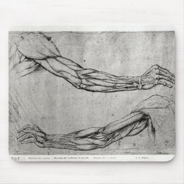 Studie av ärmar musmatta (Framsidan)