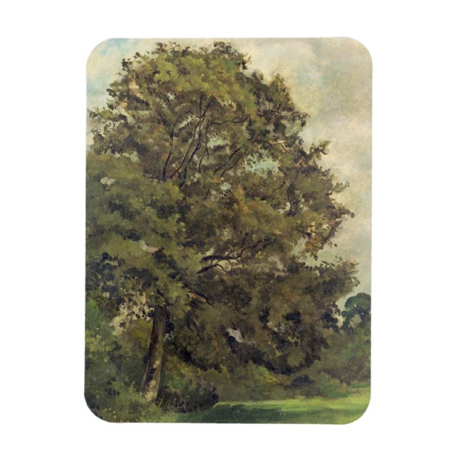 Studie av Ash Träd, c.1851 (olja på papper på ruta Magnet (Vertikal)