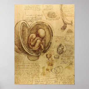 Studie av bebisfoster av Leonardo Da Vinci Poster