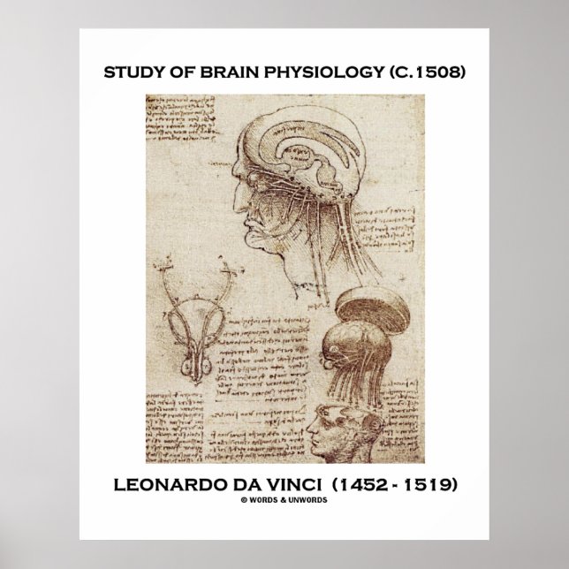 Studie av Brain Physiology Leonardo da Vinci Poster (Framsidan)