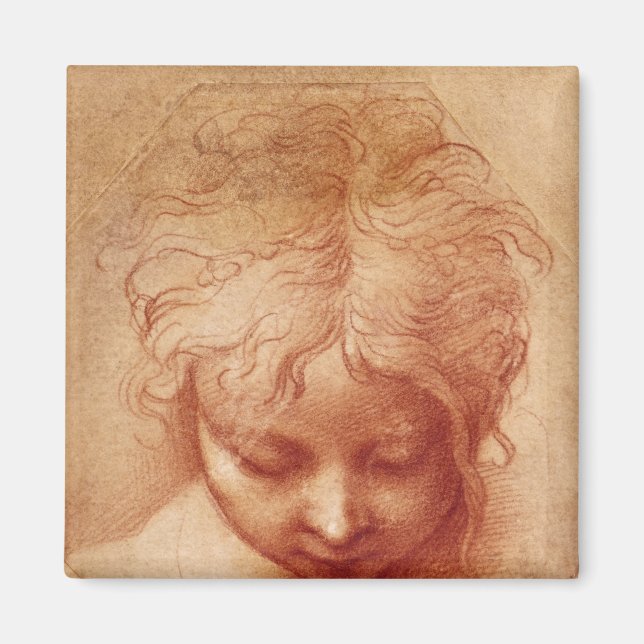 Studie av chef magnet (Framsidan)