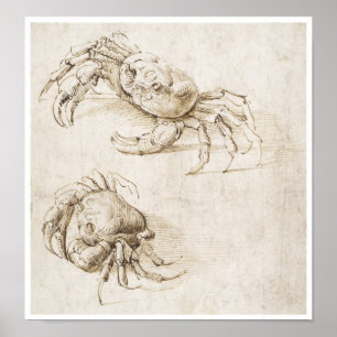 Studie av Crab, Leonardo da Vinci Poster