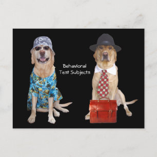 Studie av djurs/djurs beteende/beteende/Hund Vykort