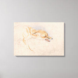 Studie av en Crouching Fox (av John Frederick Lewi Canvastryck