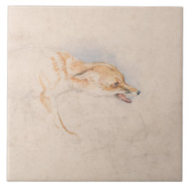 Studie av en Crouching Fox (av John Frederick Lewi Kakelplatta