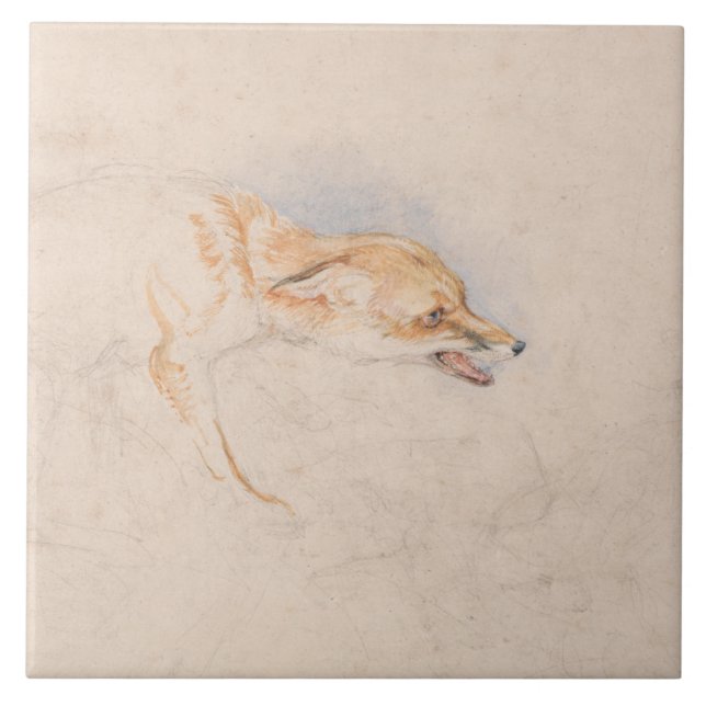 Studie av en Crouching Fox (av John Frederick Lewi Kakelplatta (Framsidan)