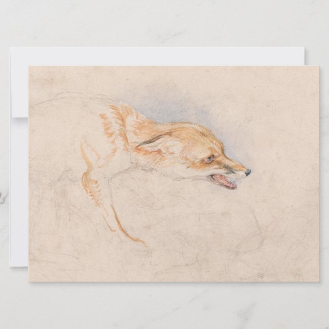 Studie av en Crouching Fox (av John Frederick Lewi Kort (Framsida)