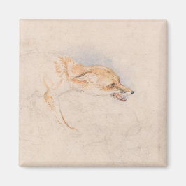 Studie av en Crouching Fox (av John Frederick Lewi Magnet