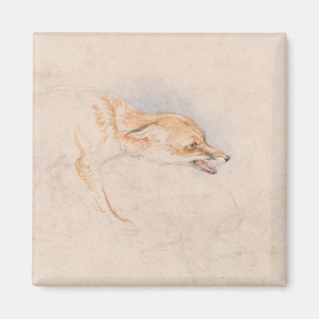 Studie av en Crouching Fox (av John Frederick Lewi Magnet (Framsidan)
