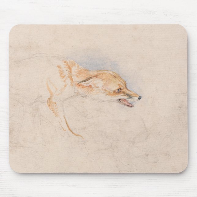 Studie av en Crouching Fox (av John Frederick Lewi Musmatta (Framsidan)