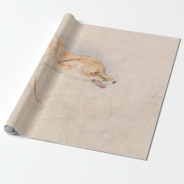 Studie av en Crouching Fox (av John Frederick Lewi Presentpapper