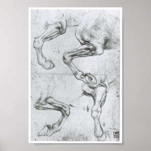Studie av en häst ben, Leonardo Da Vinci Poster