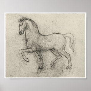 Studie av en häst, Leonardo Da Vinci Poster