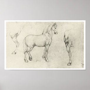 Studie av en häst och det är Hindquarters, Da Vinc Poster