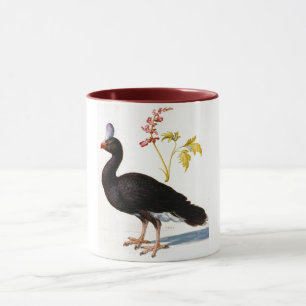Studie av en helmeted Curassow, Arcimboldo Mugg